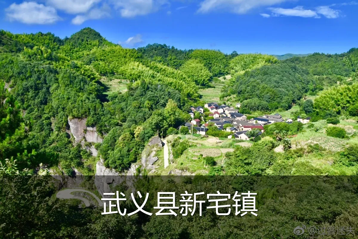 武义县新宅镇