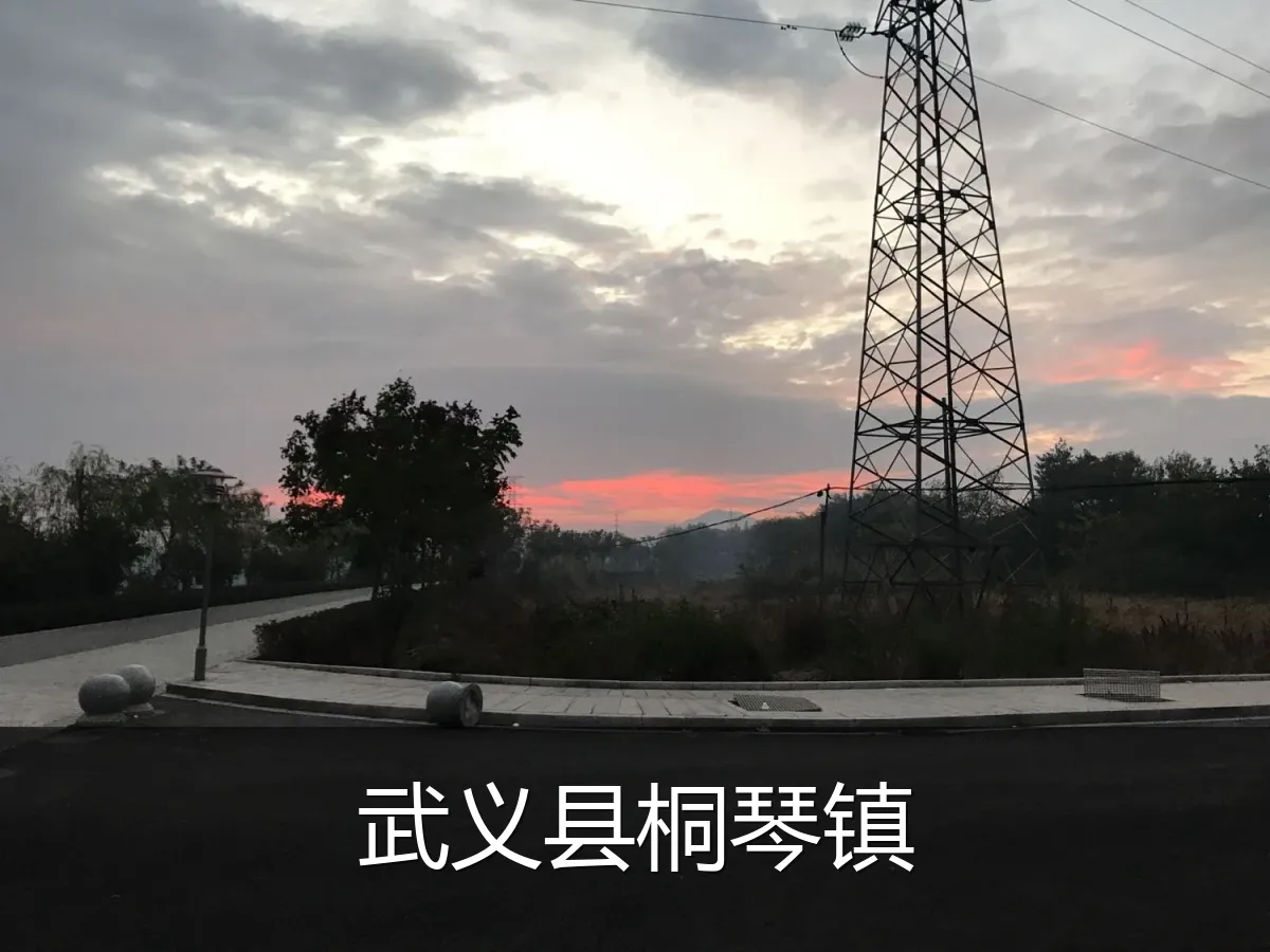 武义县桐琴镇