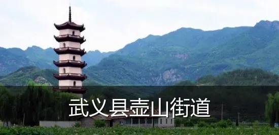 武义县壶山街道