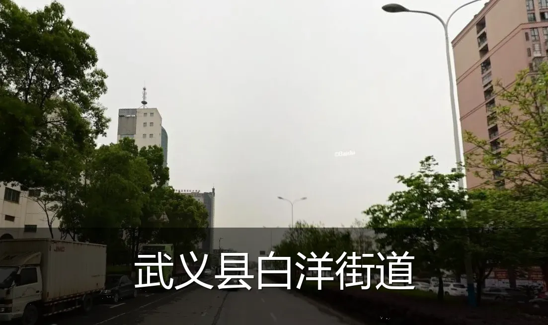武义县白洋街道